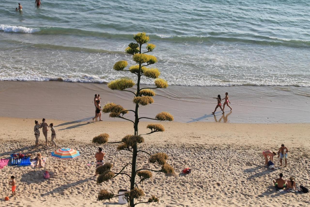 Dali Al Mar Διαμέρισμα Conil De La Frontera Εξωτερικό φωτογραφία